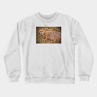 Cheetah in the Grass Crewneck Sweatshirt